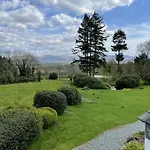 View 브레이스웨이트